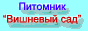 Npp-Sadovod.Ru: сорта крупноплодной клюквы. Подробности на сайте!